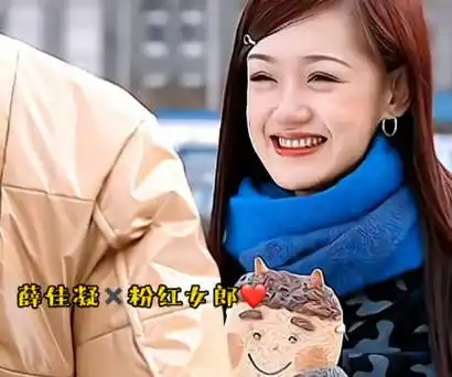 电视剧|薛佳凝/哈妹7015粉红女郎·大家来恋爱7815