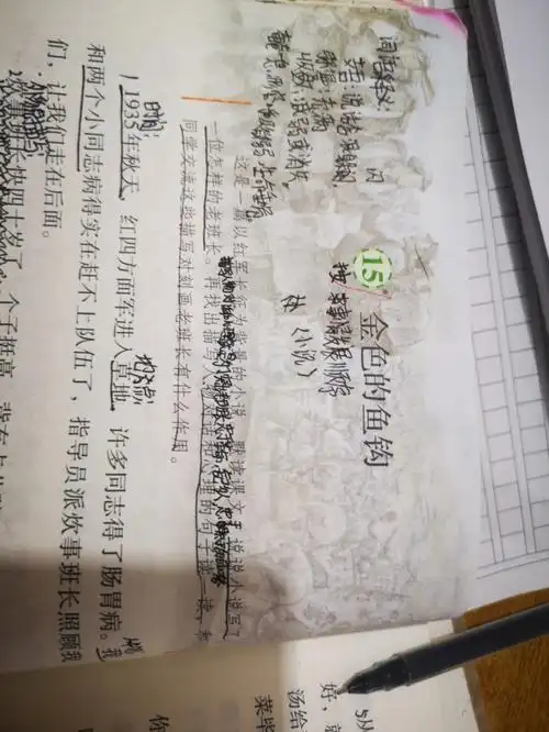 小学六年级语文第15课金色的鱼钩的笔记