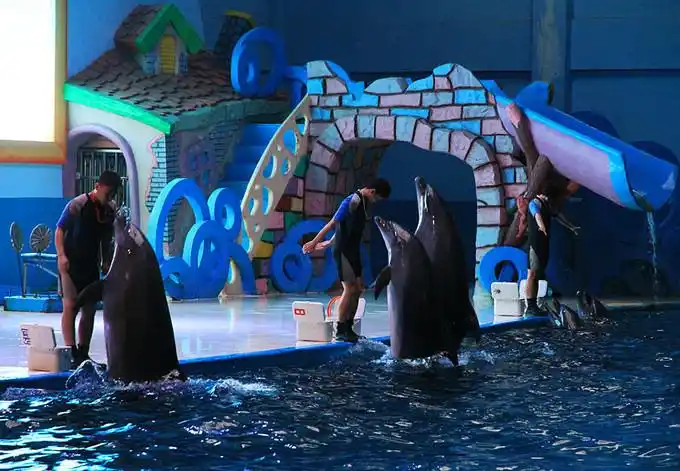 烟台蓬莱海底世界邀你与海洋生灵共舞!