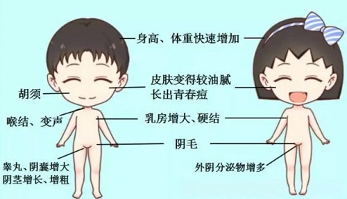 即女性在8岁以前出现性腺增大和第二性征,即乳房发育,阴毛,毛出现