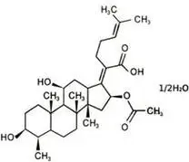 夫西地酸滴眼液