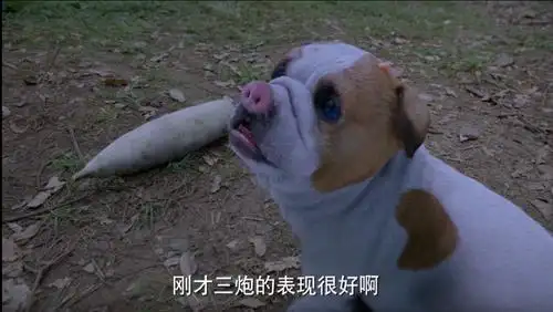 《斗罗大陆》电视剧有着肖战和吴宣仪等人的"加盟",这些流量小生本来