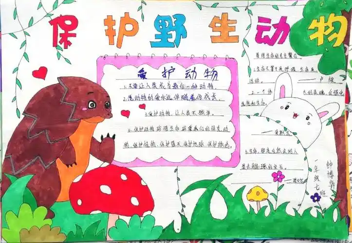 保护野生动物手抄报简单又漂亮