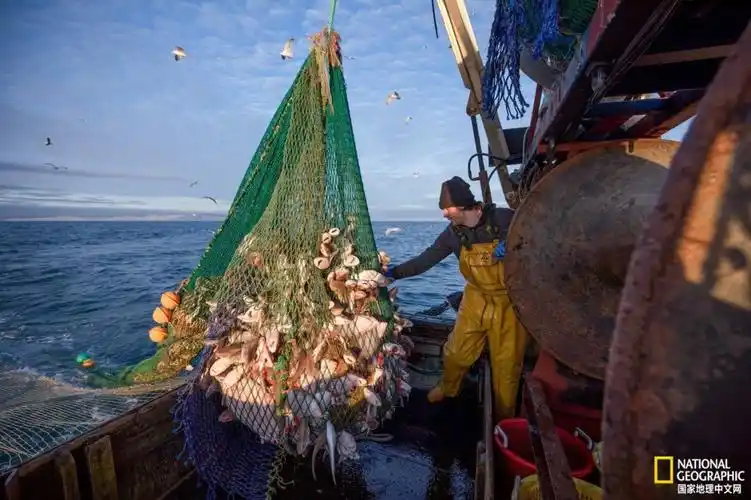 过度捕捞如何威胁世界海洋
