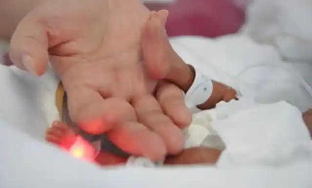 1周的胎儿长什么样子图片(怀孕21周胎儿有多大图片)"