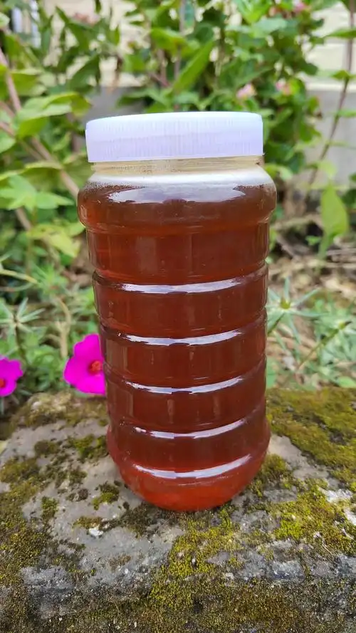 正宗土蜂蜜出售