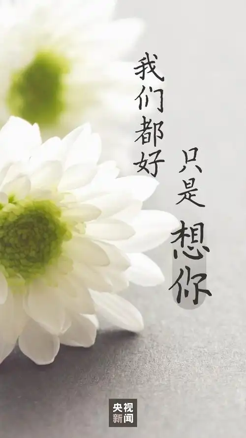 遥寄哀思 悼念逝者 ——紫润小学清明节"云哀悼"主题活动