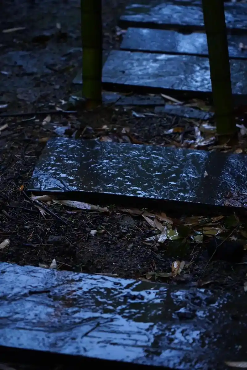 小雨在窗外滴答,从我的老柜子里拿出一只珍藏很 - 抖音
