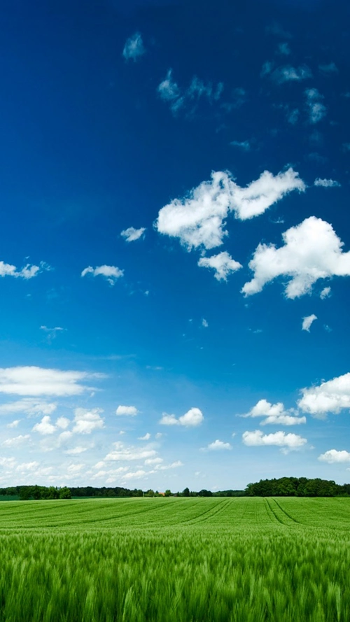 蓝色天空h5背景