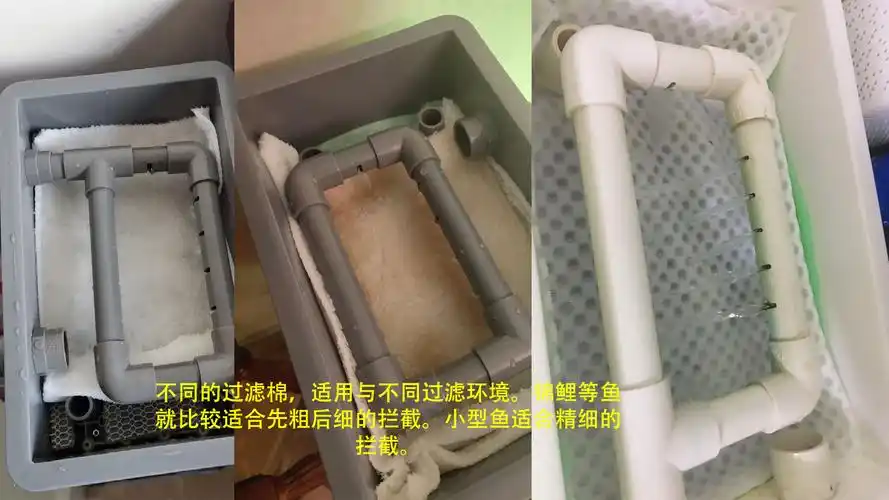鱼缸滤材摆放顺序你做对了吗
