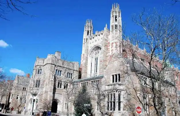 美国耶鲁大学正在招收访问学者,博士后职位|医学|美博士_网易订阅