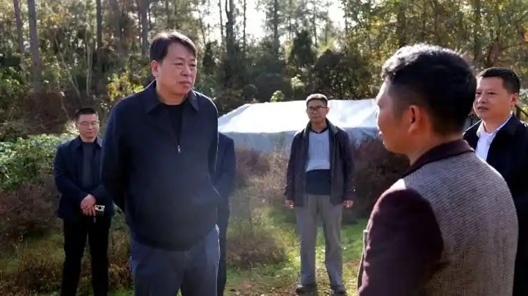 周国华调研督导深化集体林权制度改革工作