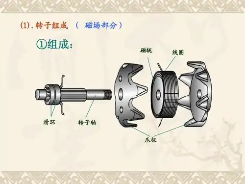 转子组成   磁场部分) ①组成: 磁轭 线圈 滑环 转子轴 爪极