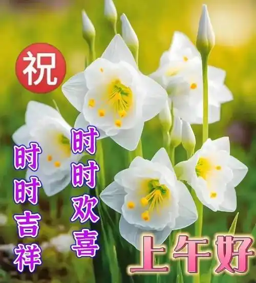 9张最新创意好看的春日清晨早上好祝福图片带字温馨_问候_一生_开心