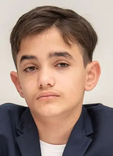 赞恩阿尔拉菲亚