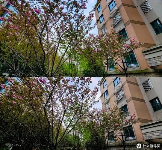 买了篇六买了个手机三星s20ultra5g和buds