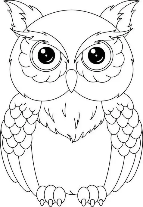 猫猫头鹰简笔画大图