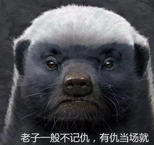 "平头哥"蜜獾在非洲大草原上,真的是无敌的存在吗?