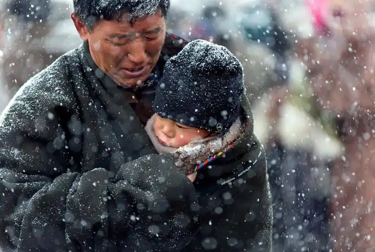 适马睛典2017父爱如山