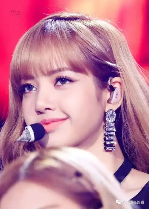 明星美照vol549lisa