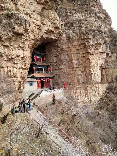 灵丘龙泉寺山上的桃花开的正艳