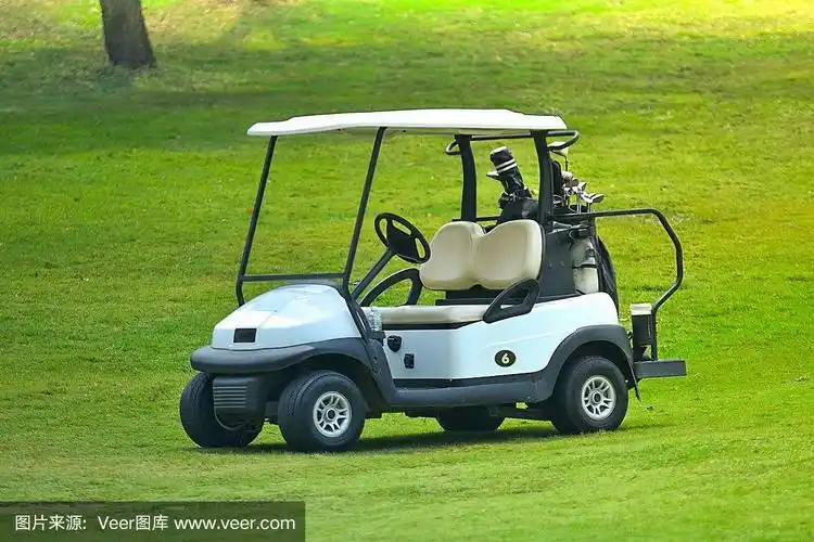 高尔夫球场上的高尔夫球车