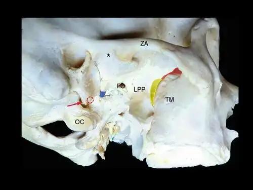 神经外科学习征途与跨越四