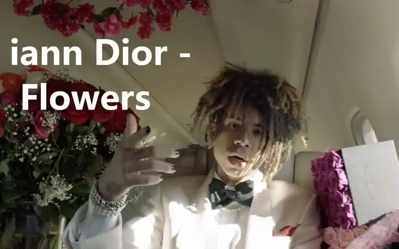 【中字】iann dior新歌mv:花儿可以再买,你却回不来了