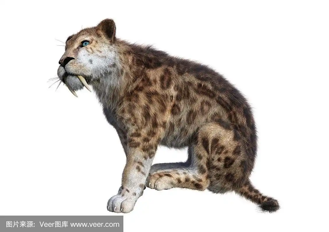 3d渲染剑齿虎在白色