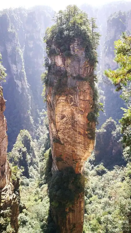 悬浮山,电影"阿凡达"里悬浮山的原型