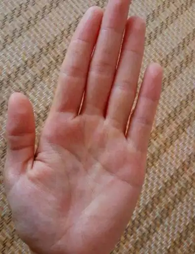 手掌有金房子有此纹者五路招财八方进宝