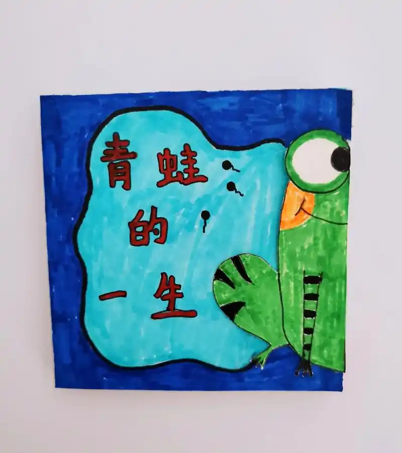 自制绘本#幼儿园自制绘 - 抖音