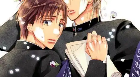 对学生会长的忠告ova1剧照图集