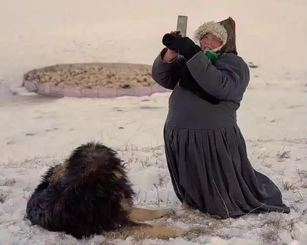 百年游牧 | 阿音新作《太阳圆》影像系列61布里亚特人--中国摄影家
