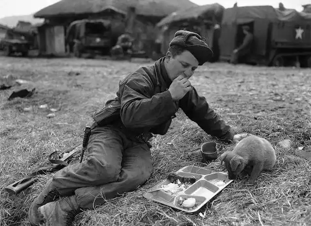 直击二战期间温暖人心的一刻,士兵们无国界的感人瞬间