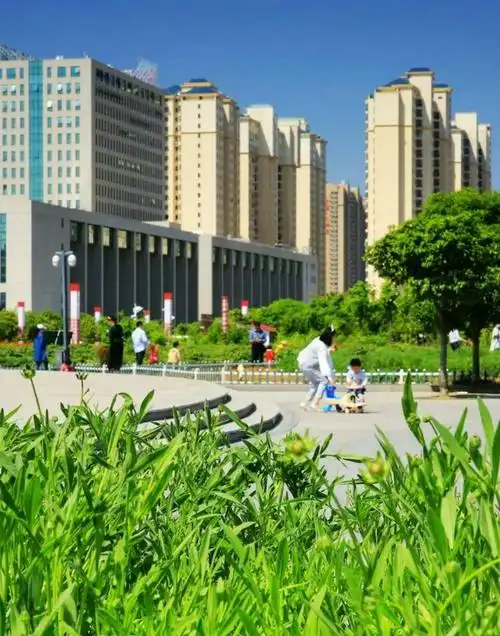 《信阳最美丽》——手记近年来对我居住地羊山新区掠影