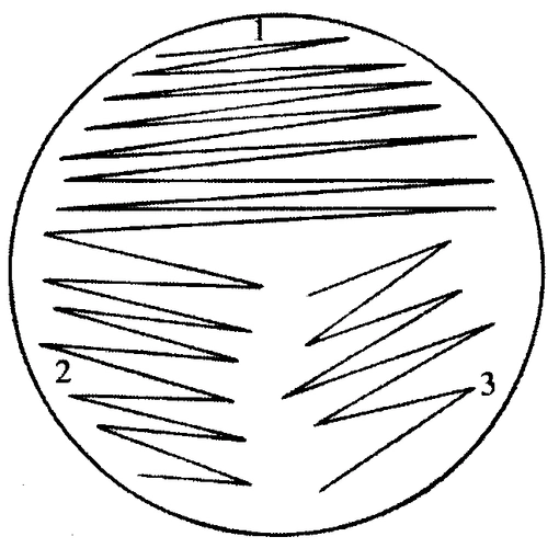 分区划线法划线分离时平