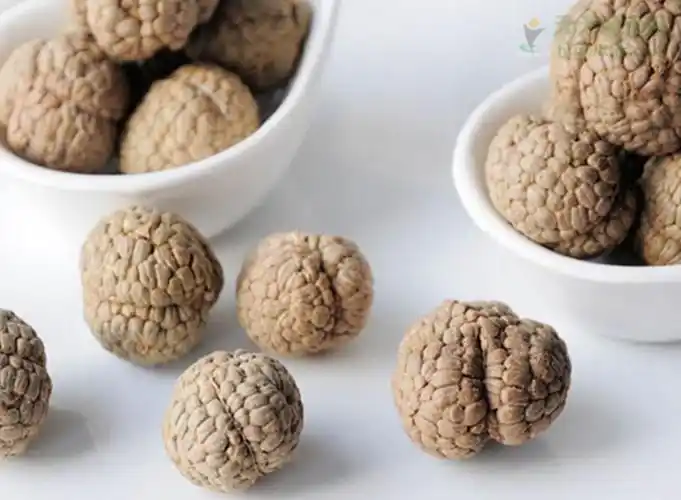 草寇和肉蔻能否一起用