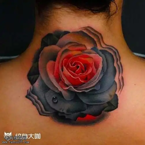 tag标签:玫瑰玫瑰花背部玫瑰纹身图案tag标签:玫瑰玫瑰花彩色玫瑰纹身