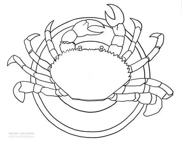 大闸蟹简笔画 清蒸大闸蟹简笔画
