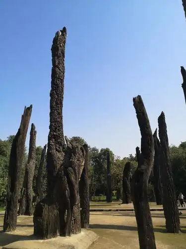 其它 走进金沙 领略古蜀国深厚文化 写美篇  乌木林.