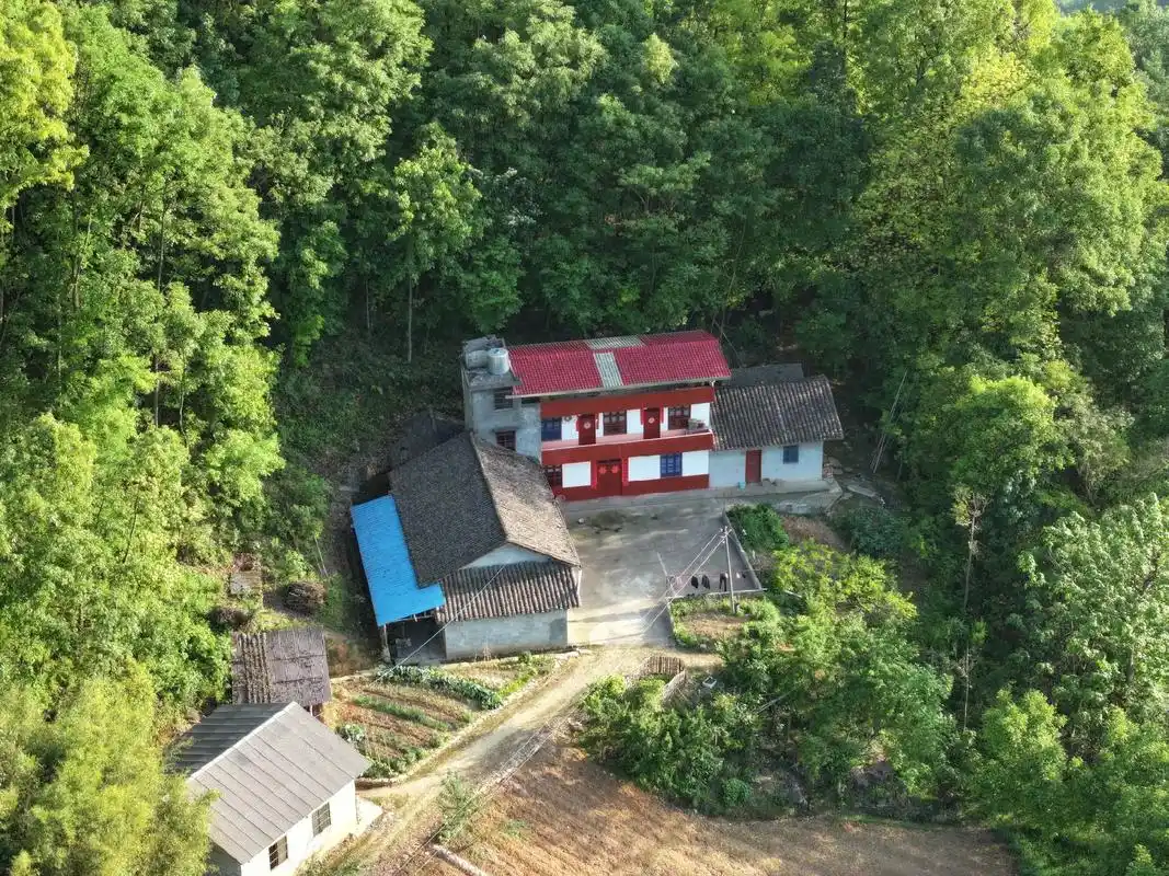 我美丽家乡泉水湾村#大山深处自然美山清水秀好风光 #感受大 - 抖音