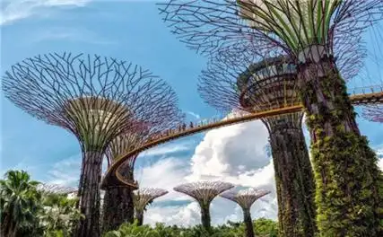 新加坡造阿凡达奇幻森林一棵树高达50米树里暗藏高科技4