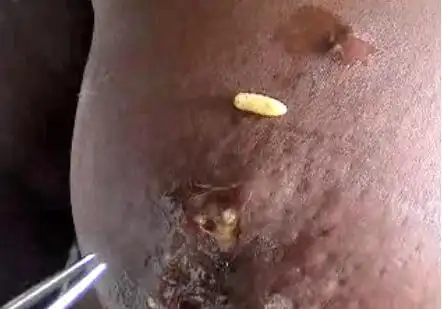 莲蓬乳和空手指`` - 发108 - fa108的博客