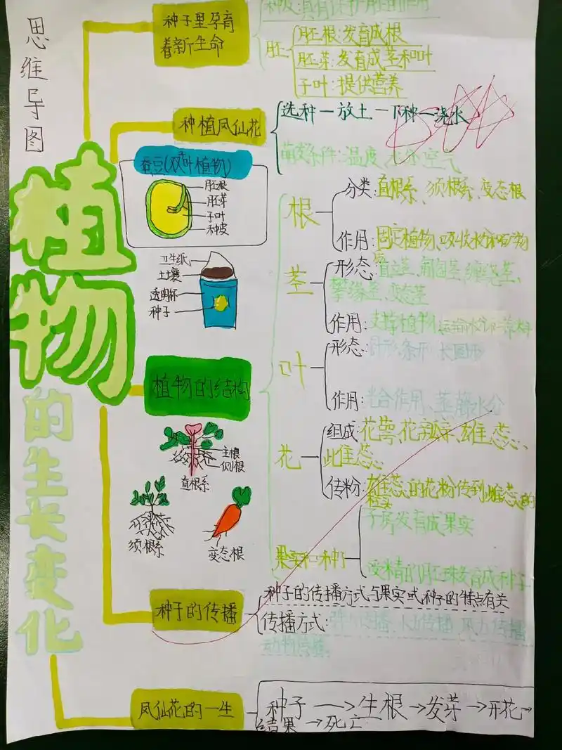 四下第一单元优秀思维导图展! - 抖音