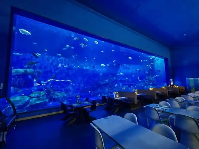 海洋工程#大型亚克力鱼缸  #亚克力鱼缸  #大型鱼缸  #鱼缸  #水族馆