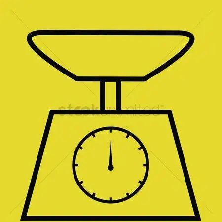 体重秤 : weighing scale