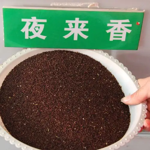 批发夜来香种子 夜来香树苗种子别称夜香花种子夜丁香花籽发芽多图片