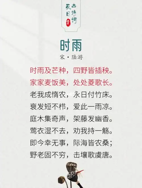 day38每日诗词今日芒种收获美好播种希望