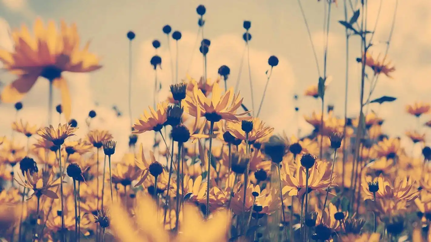 复古小清新唯美图片,高清壁纸,图片,时光记忆